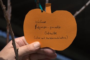 Wunschbaumaktion